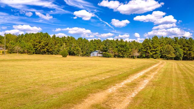 663 Ollie Loop, Livingston, TX 77351