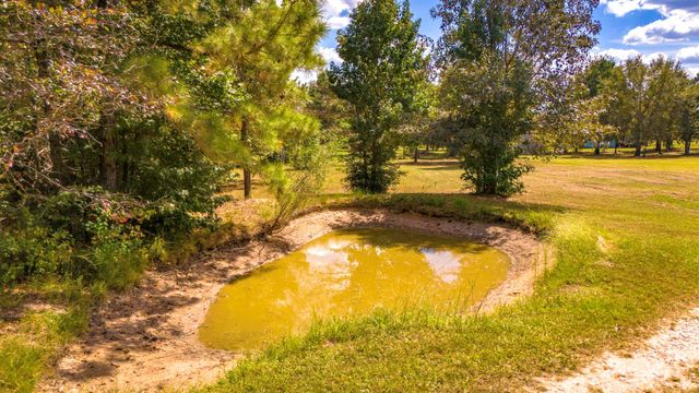 663 Ollie Loop, Livingston, TX 77351