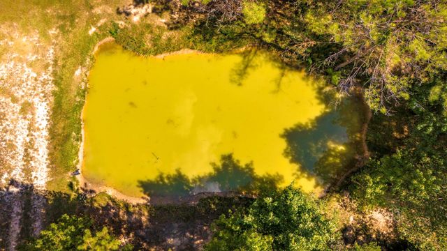 663 Ollie Loop, Livingston, TX 77351