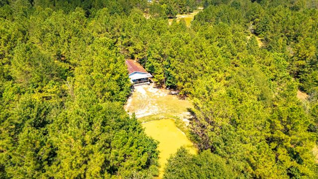 663 Ollie Loop, Livingston, TX 77351