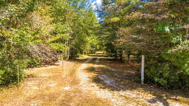 663 Ollie Loop, Livingston, TX 77351