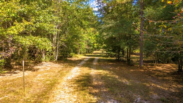 663 Ollie Loop, Livingston, TX 77351