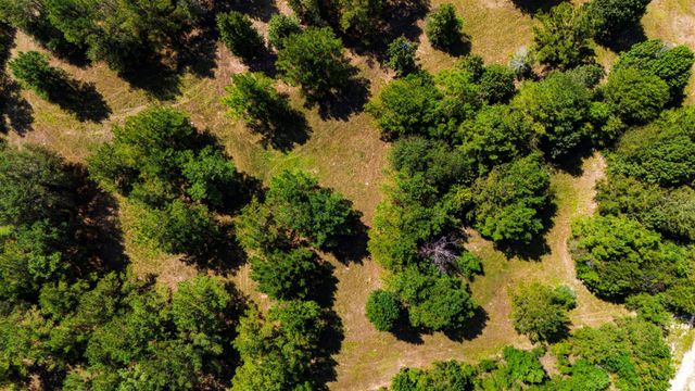 663 Ollie Loop, Livingston, TX 77351