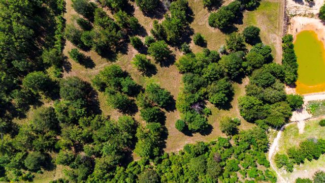 663 Ollie Loop, Livingston, TX 77351