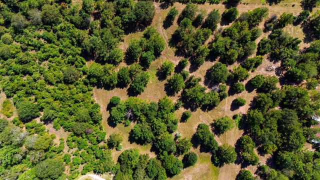 663 Ollie Loop, Livingston, TX 77351