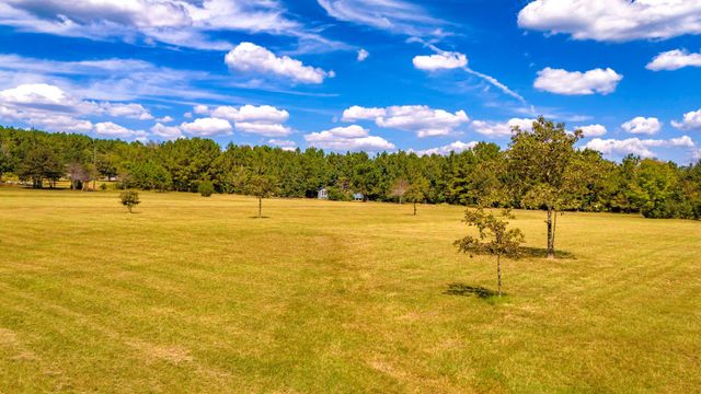 663 Ollie Loop, Livingston, TX 77351