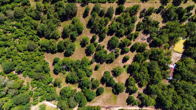 663 Ollie Loop, Livingston, TX 77351