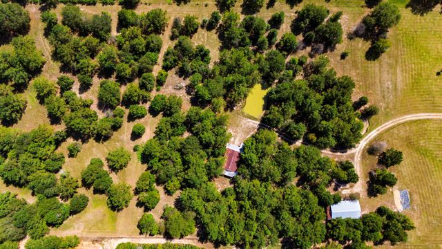 663 Ollie Loop, Livingston, TX 77351