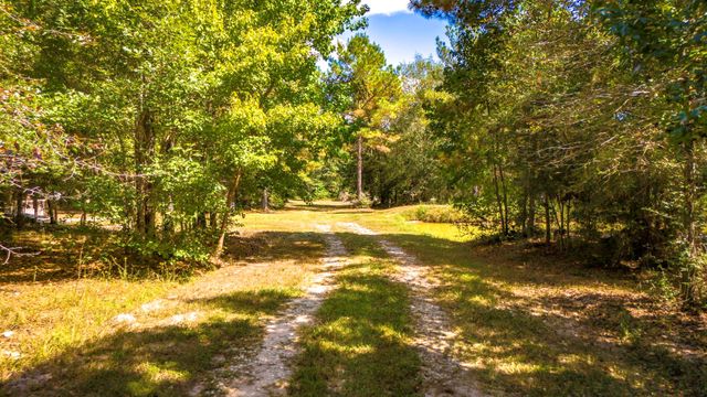 663 Ollie Loop, Livingston, TX 77351