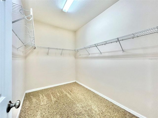 11210 ROSEATE DRIVE, Tampa, FL 33626