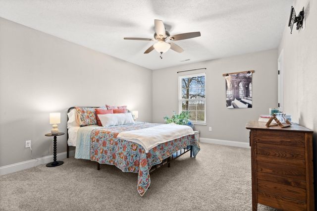 546 Buttermilk Springs, Galena, MO 65656