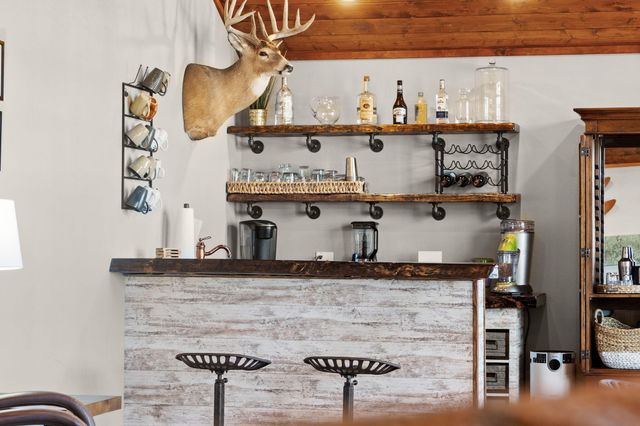 546 Buttermilk Springs, Galena, MO 65656