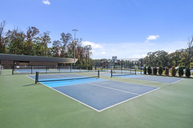 546 Buttermilk Springs, Galena, MO 65656