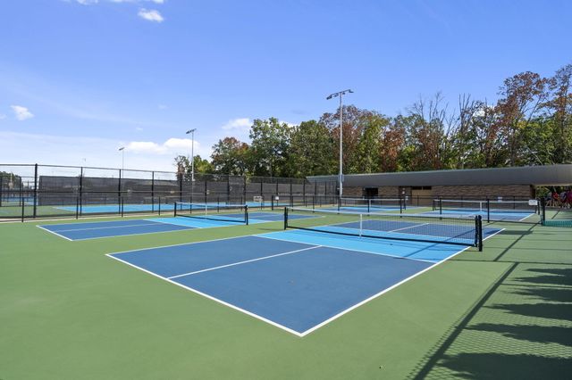 546 Buttermilk Springs, Galena, MO 65656