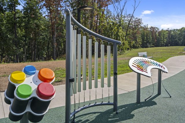 546 Buttermilk Springs, Galena, MO 65656