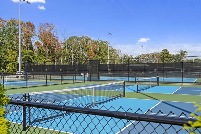 546 Buttermilk Springs, Galena, MO 65656