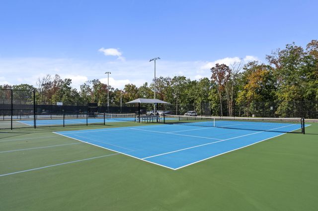 546 Buttermilk Springs, Galena, MO 65656