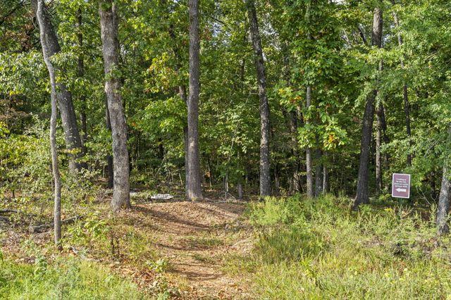 546 Buttermilk Springs, Galena, MO 65656