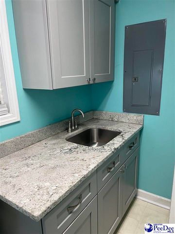 1333 New Market Rd, Hartsville, SC 29550