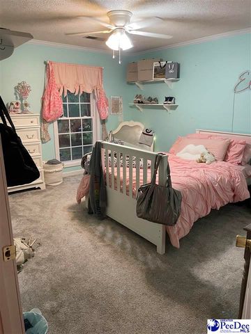 1333 New Market Rd, Hartsville, SC 29550