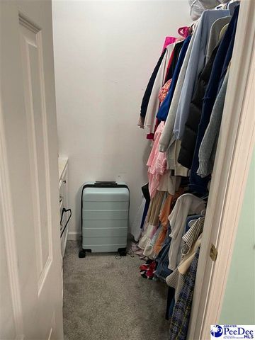 1333 New Market Rd, Hartsville, SC 29550