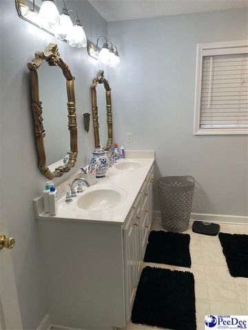 1333 New Market Rd, Hartsville, SC 29550