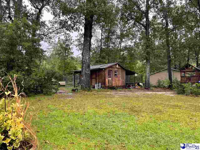 1333 New Market Rd, Hartsville, SC 29550