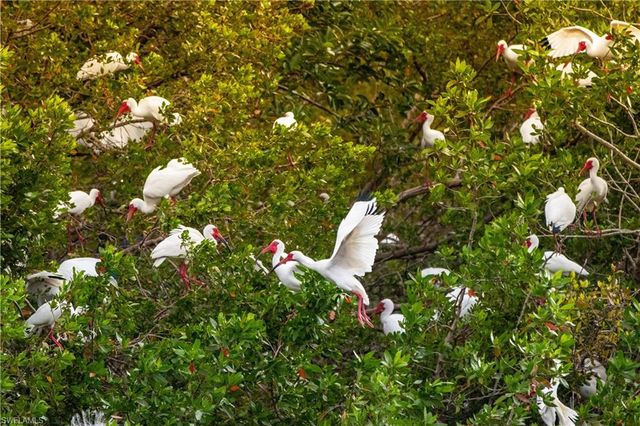 4201 Lake Forest DR 1112, Bonita Springs, FL 34134