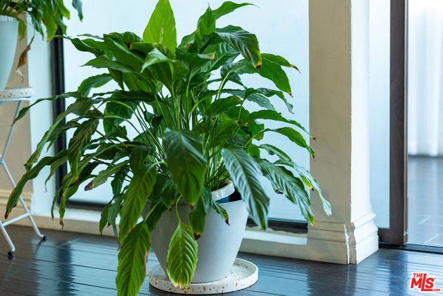 4050 Via Dolce 240, Marina Del Rey, CA 90292