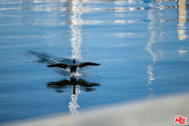 4050 Via Dolce 240, Marina Del Rey, CA 90292