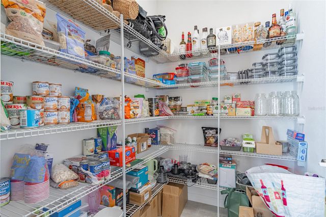 157 TRINITY RIDGE CIRCLE, Davenport, FL 33897