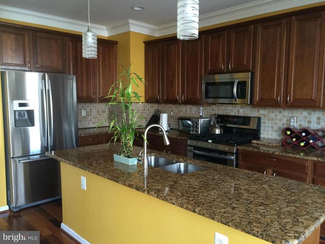 6805 OREGANO LN, Alexandria, VA 22310