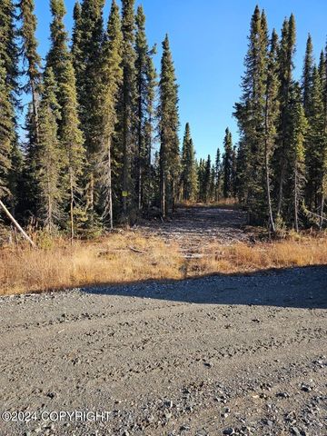 L3 Erlwein Circle, Soldotna, AK 99669
