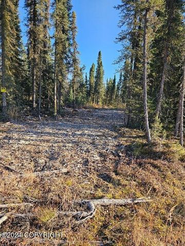 L3 Erlwein Circle, Soldotna, AK 99669