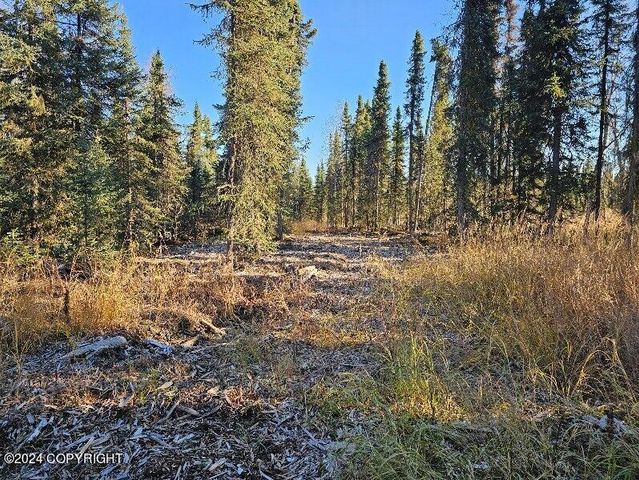 L3 Erlwein Circle, Soldotna, AK 99669