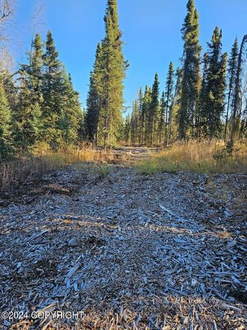 L3 Erlwein Circle, Soldotna, AK 99669