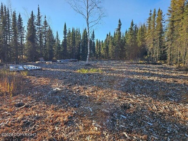 L3 Erlwein Circle, Soldotna, AK 99669