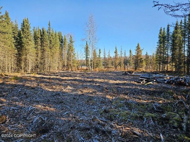L3 Erlwein Circle, Soldotna, AK 99669