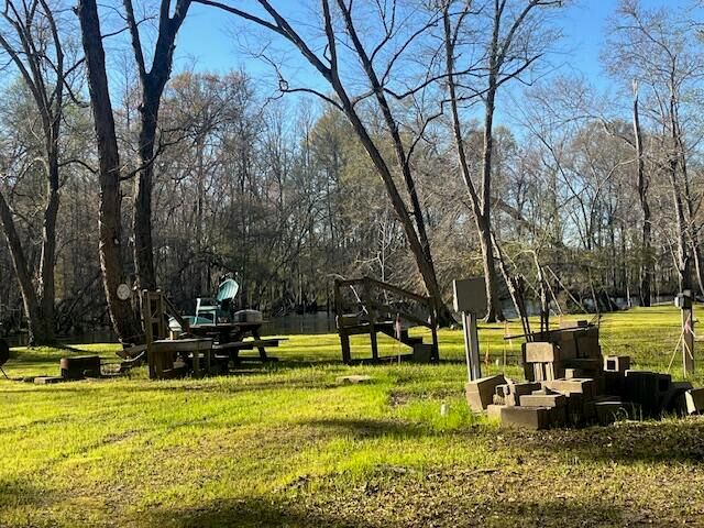 51 Mendel Court, Round O, SC 29474