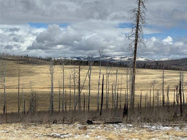 2415 Petito Dr, Fort Garland, CO 81133