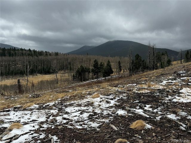 2415 Petito Dr, Fort Garland, CO 81133