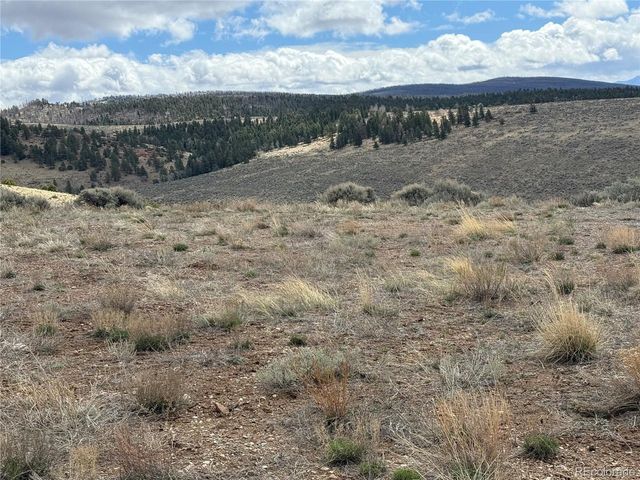 2415 Petito Dr, Fort Garland, CO 81133