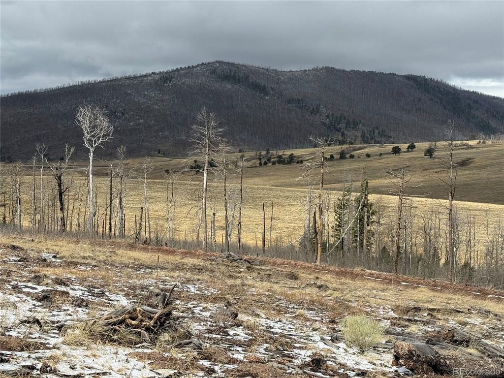 2415 Petito Dr, Fort Garland, CO 81133