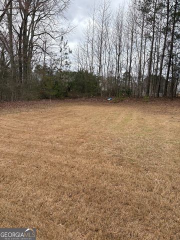 208 Deodar Lane, Hampton, GA 30228