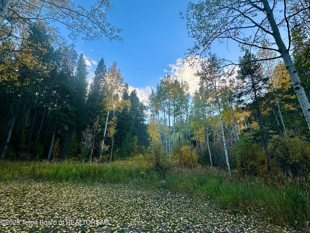 3950 W RED TOP Lane, Wilson, WY 83014 photo 26