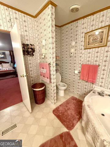 4499 Grady Mertz Road, Tennille, GA 31089