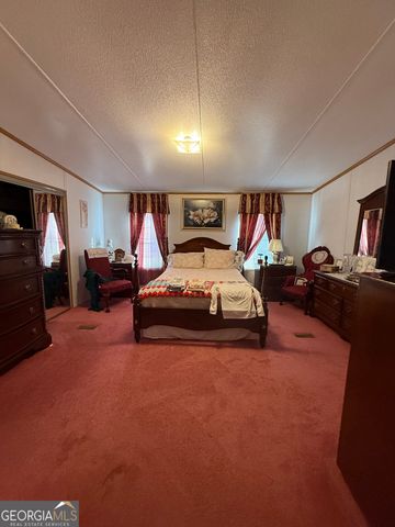 4499 Grady Mertz Road, Tennille, GA 31089