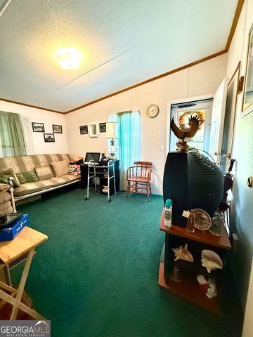 4499 Grady Mertz Road, Tennille, GA 31089