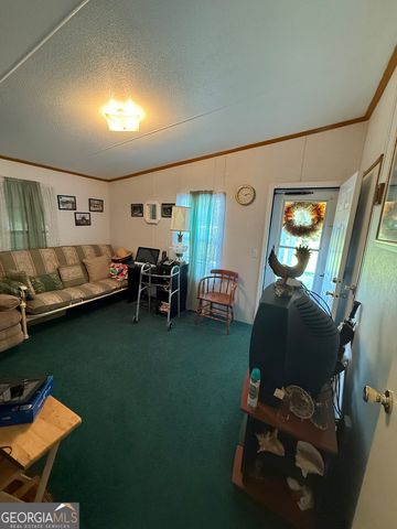 4499 Grady Mertz Road, Tennille, GA 31089