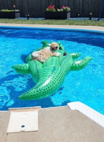 400 Laura St, Salina, KS 67401